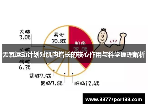 无氧运动计划对肌肉增长的核心作用与科学原理解析